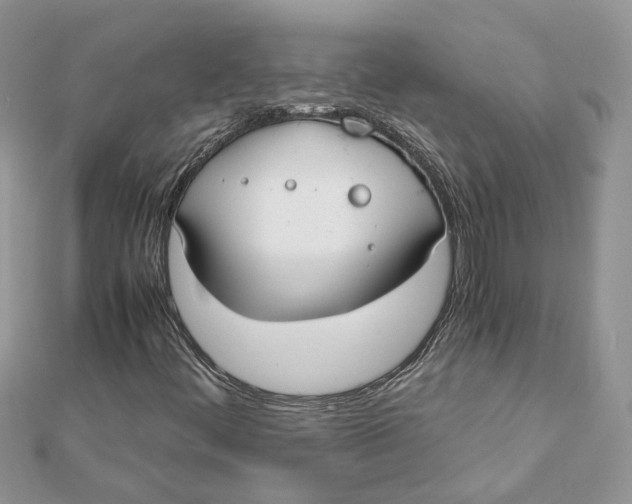 X0000111881444200908131623