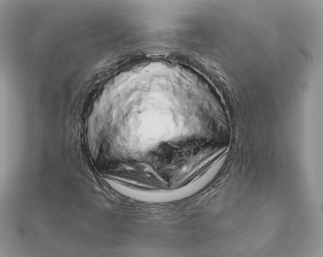 X0000111881445200908131623