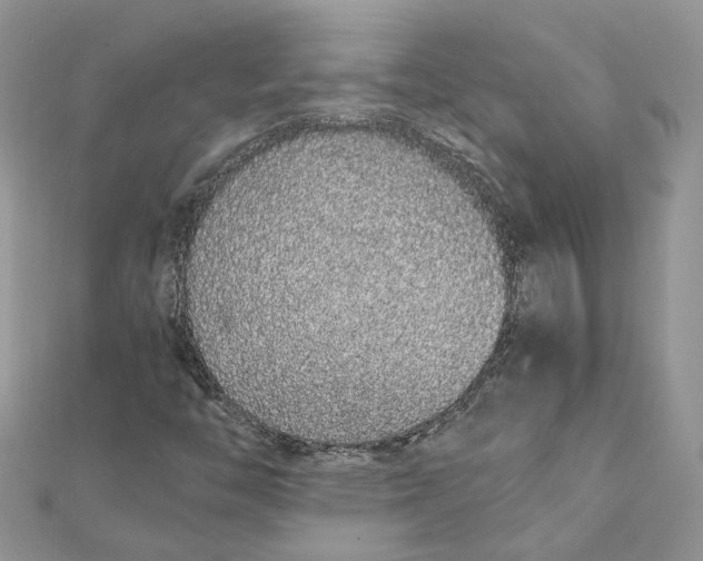 X0000111881446200908131623