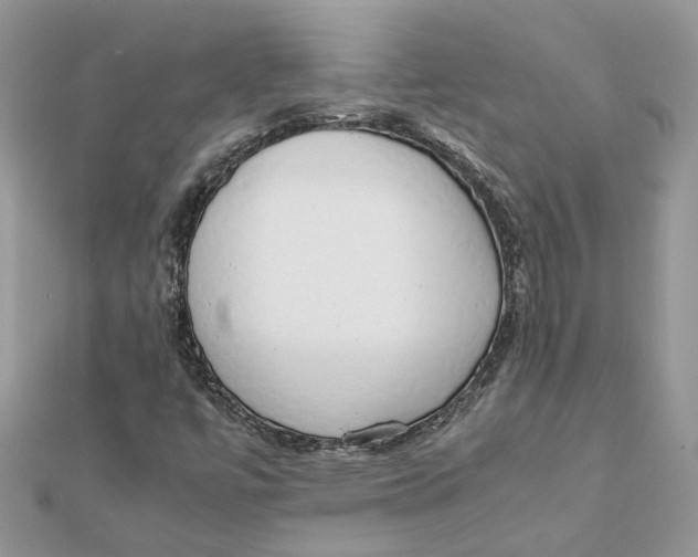 X0000111881447200908131623