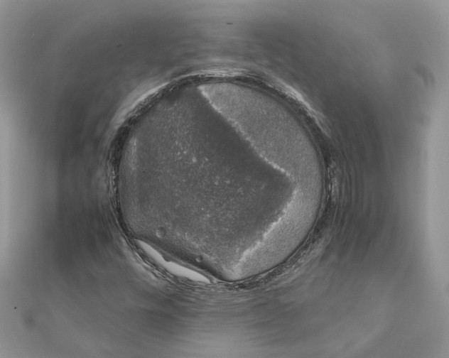 X0000111881448200908131623