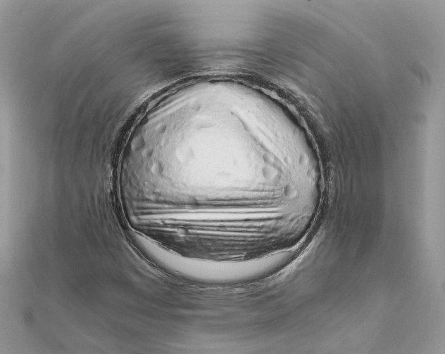 X0000111881449200908131623