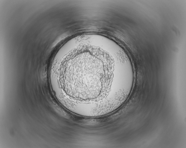 X0000111881450200908131623