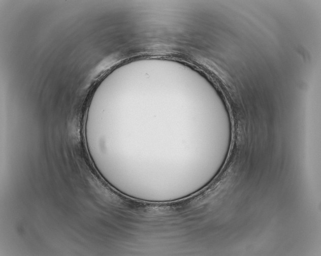 X0000111881451200908131623