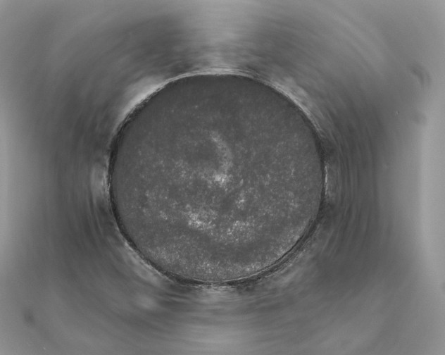 X0000111881452200908131623