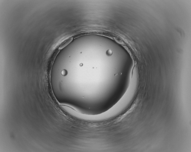 X0000111881453200908131623