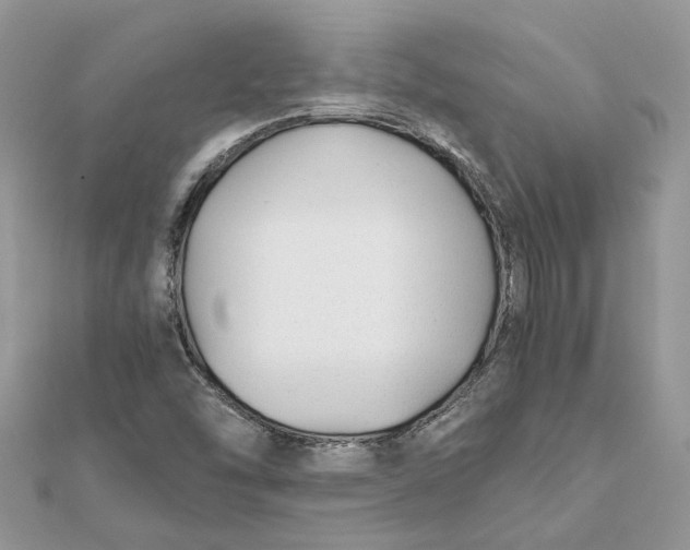 X0000111881454200908131623