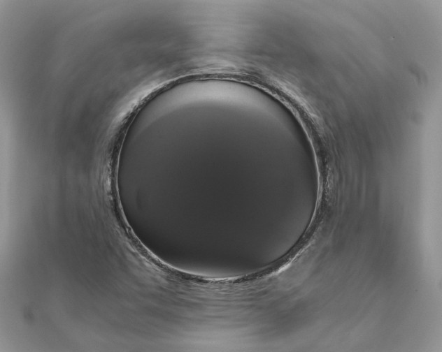 X0000111881455200908131623