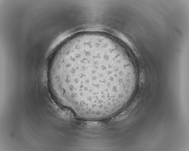 X0000111881456200908131623