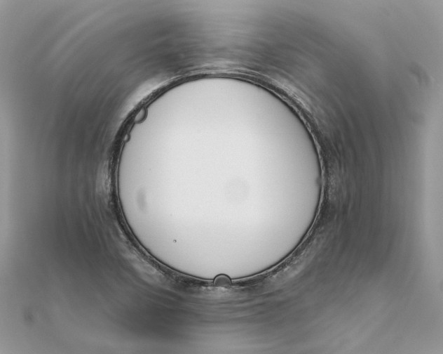 X0000111881458200908131623