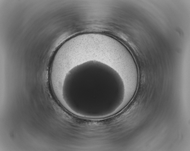 X0000111881459200908131623