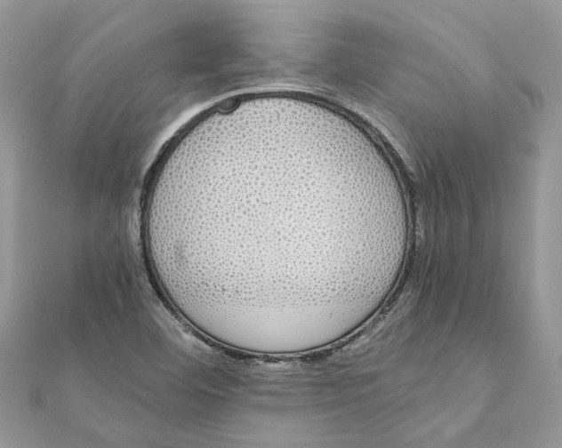 X0000111881460200908131623