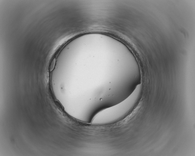 X0000111881461200908131623