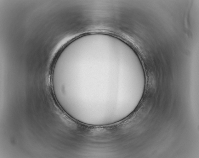 X0000111881462200908131623