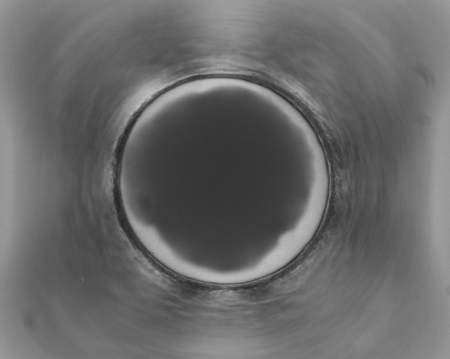 X0000111881463200908131623