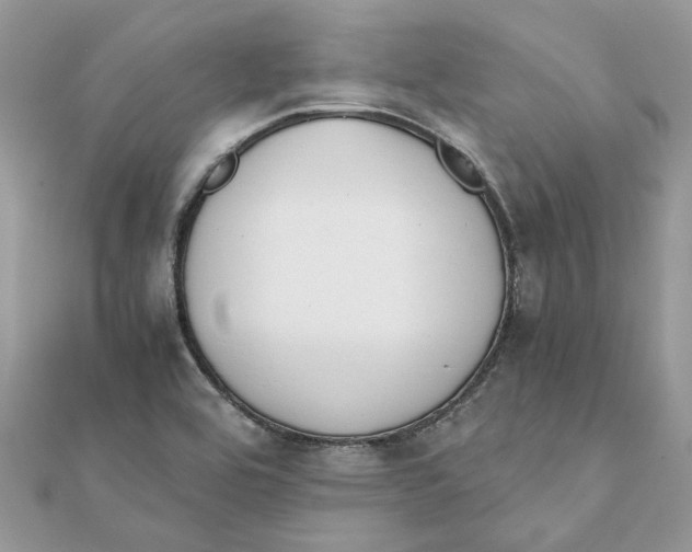 X0000111881464200908131623