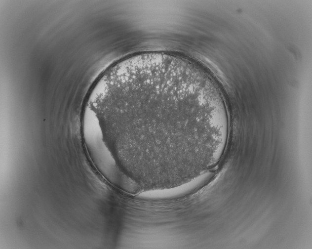 X0000111881465200908131623