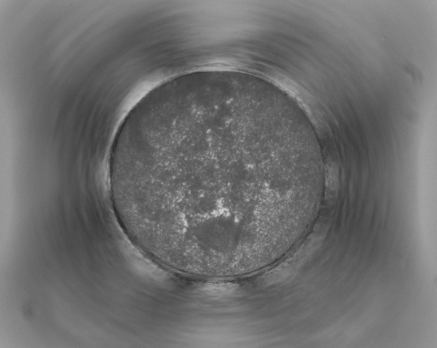 X0000111881466200908131623