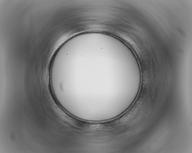 X0000111881467200908131623