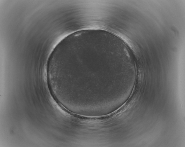 X0000111881468200908131623