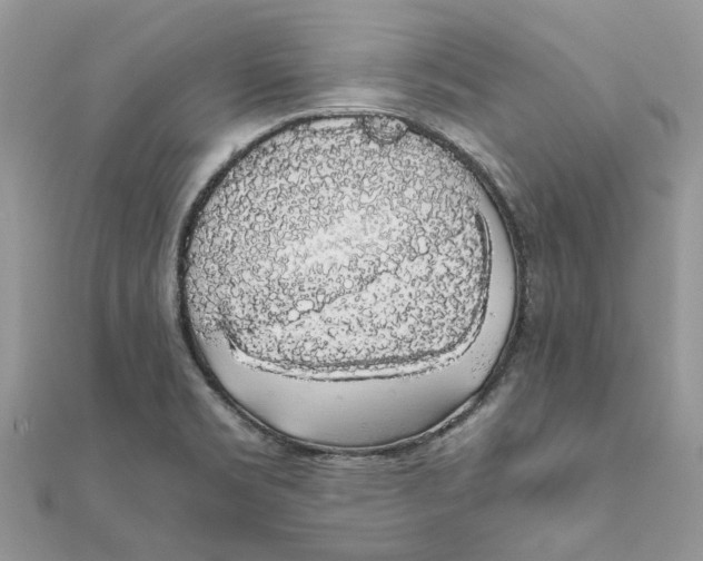 X0000111881469200908131623