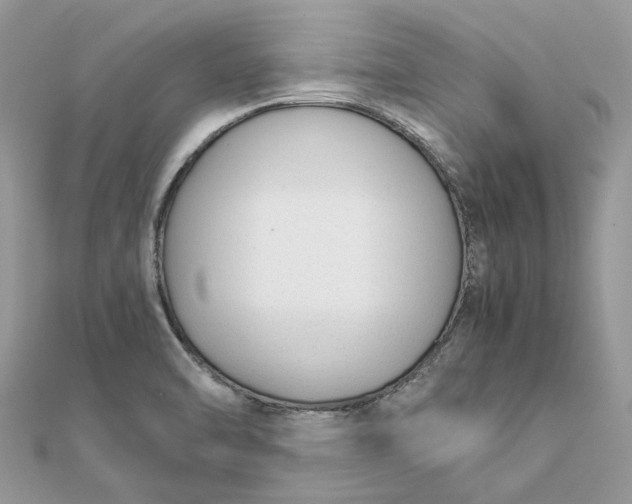 X0000111881470200908131623