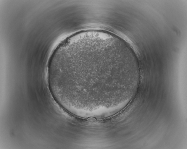 X0000111881472200908131623