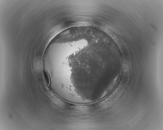 X0000111881473200908131623