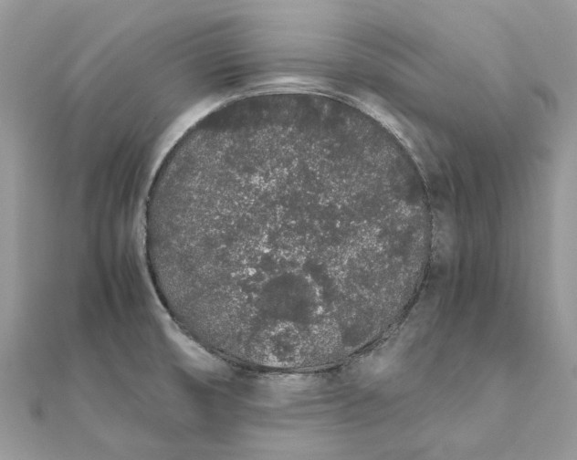 X0000111881474200908131623