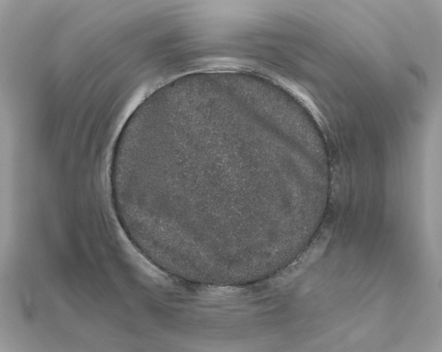 X0000111881475200908131623