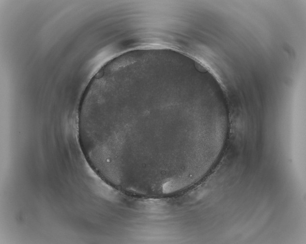 X0000111881476200908131623