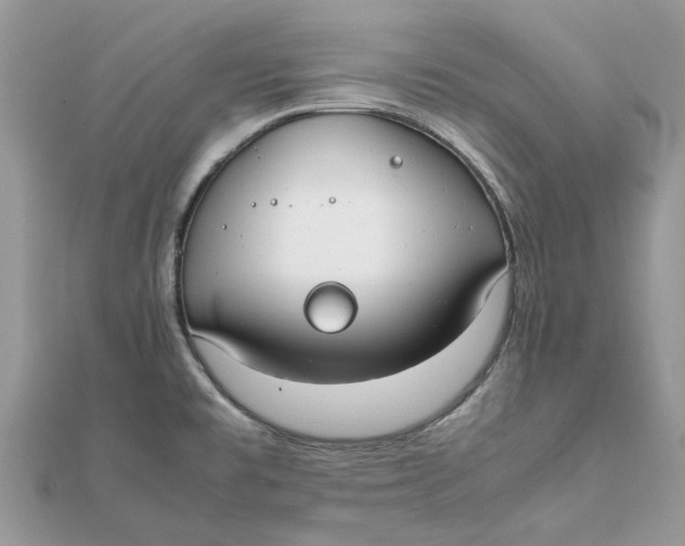 X0000111881477200908131623