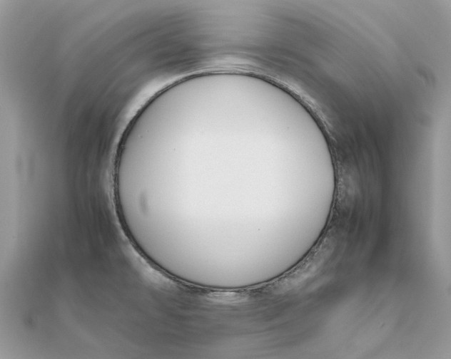 X0000111881478200908131623