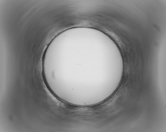 X0000111881479200908131623