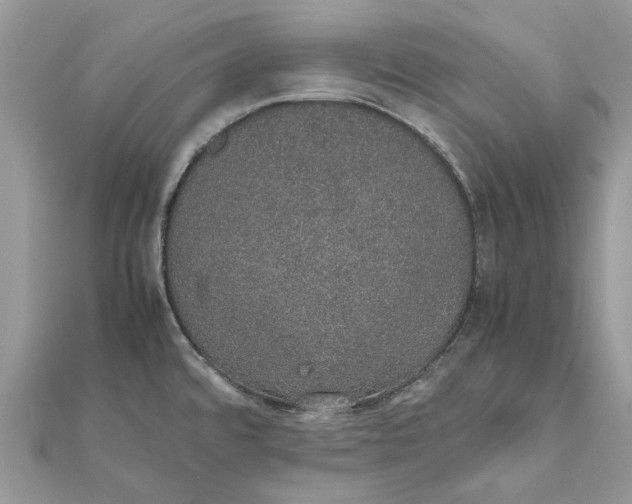 X0000111881480200908131623