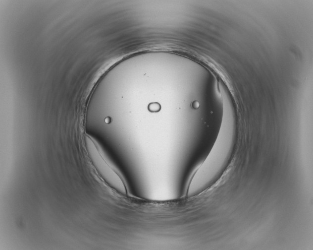 X0000111881481200908131623