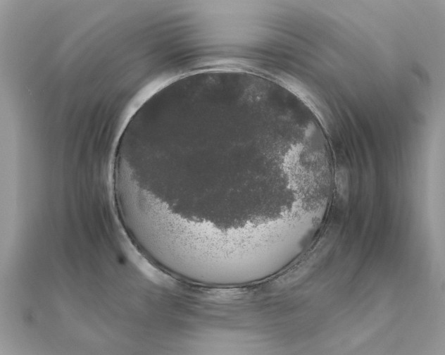 X0000111881482200908131623