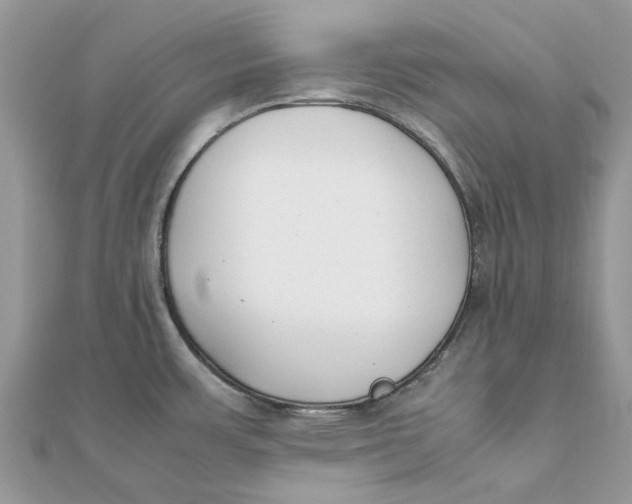 X0000111881483200908131623