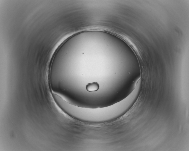 X0000111881484200908131623