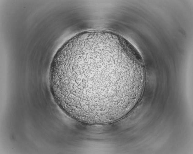 X0000111881485200908131623