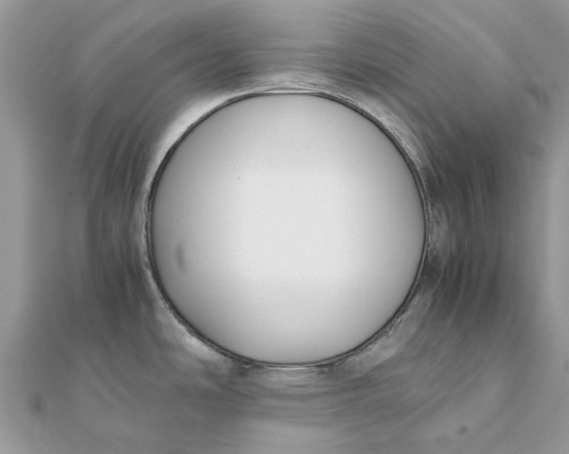 X0000111881486200908131623