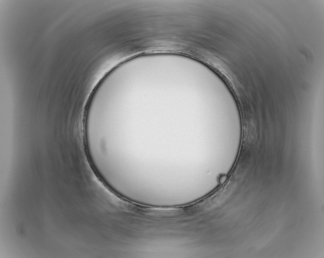 X0000111881487200908131623