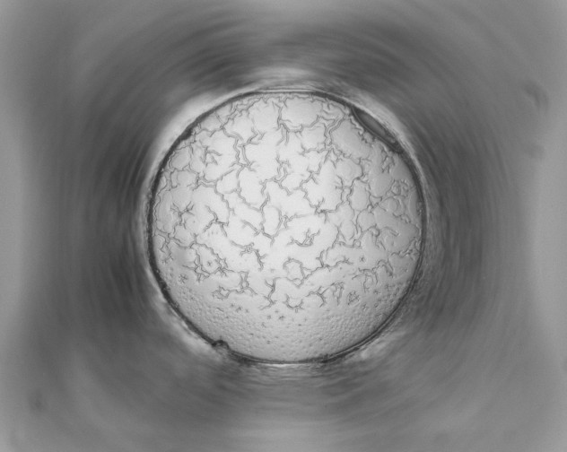 X0000111881488200908131623