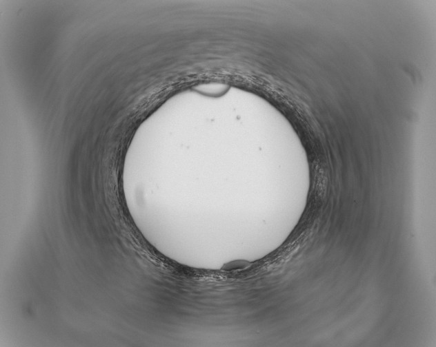 X0000111881489200908131622