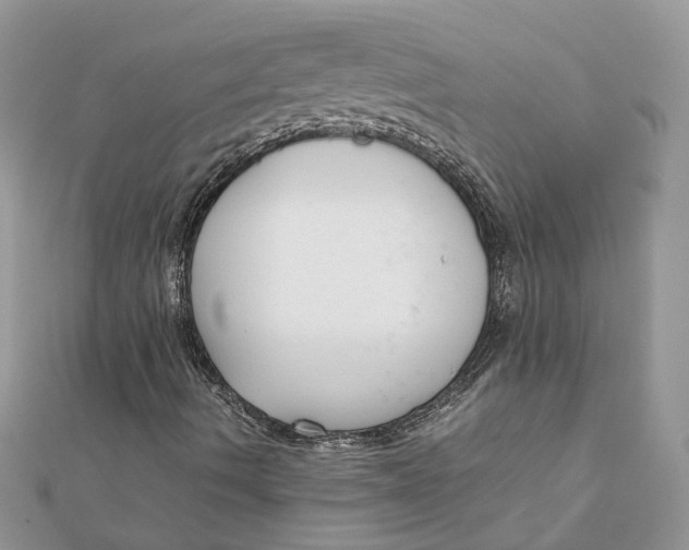 X0000111881490200908131622