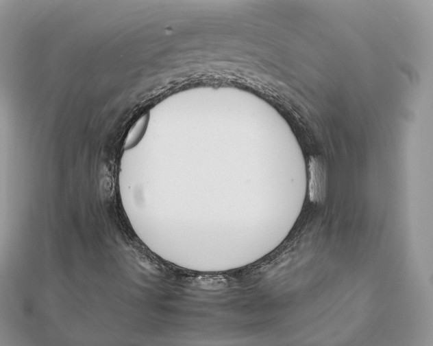 X0000111881491200908131622