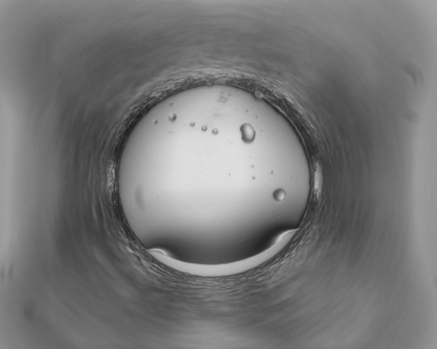 X0000111881492200908131622