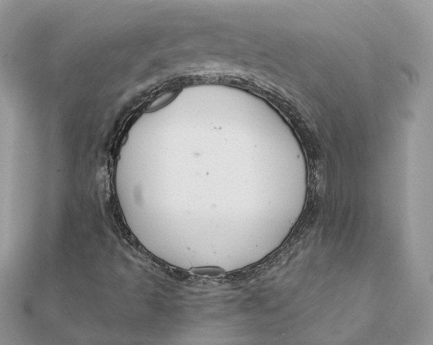 X0000111881493200908131622