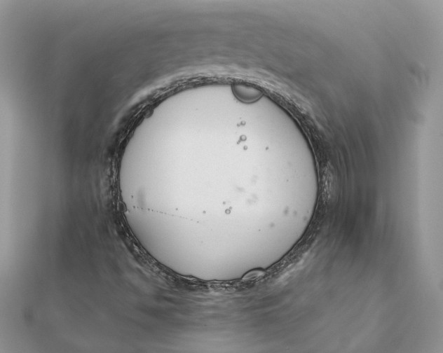 X0000111881494200908131622