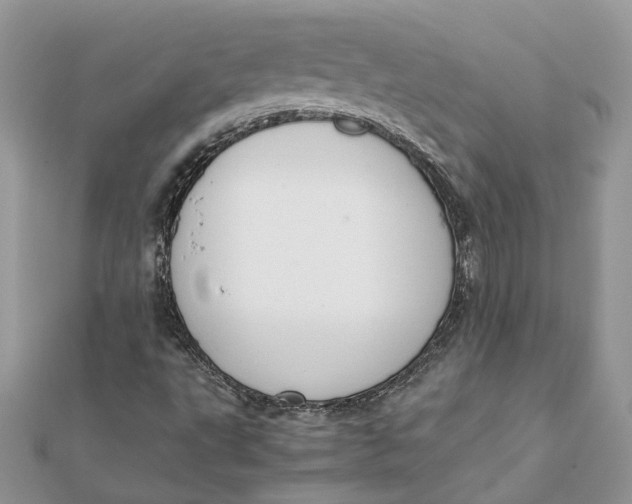 X0000111881495200908131622